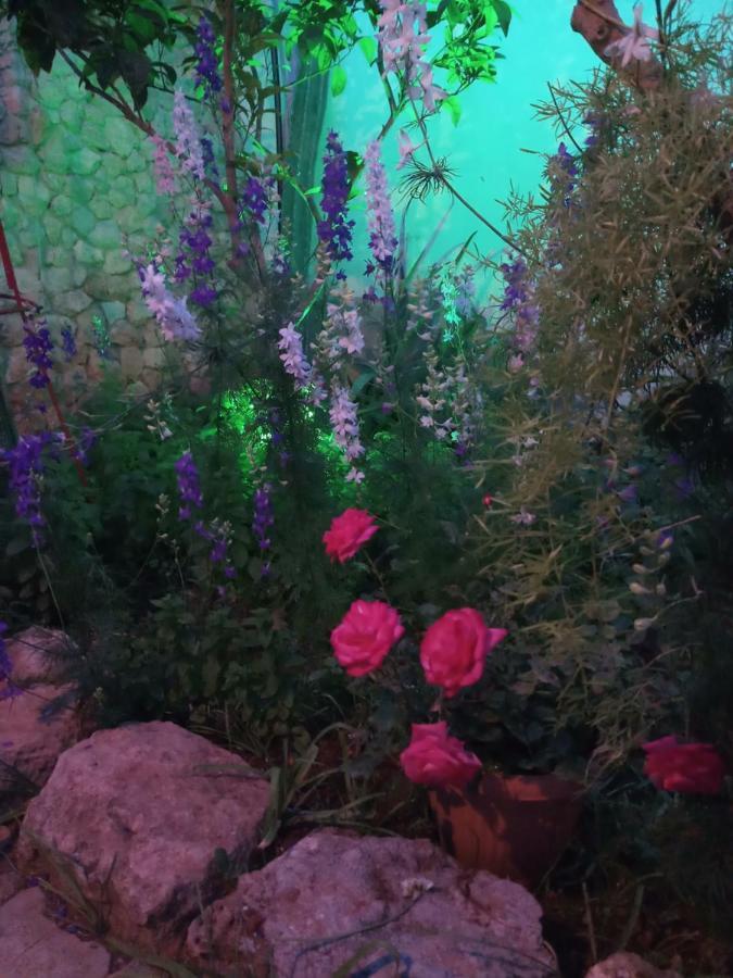 Mystery Garden Guest House Famagusta  Exterior foto